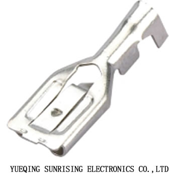  - Ring terminal lug DJ6228-D6.3B