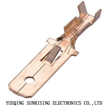  - plug terminal DJ612-6.3B